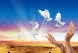 熱烈慶祝我公司網(wǎng)站正式上線！